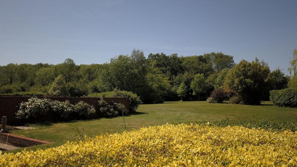 Cretingham Paddock Barn ~ Short & Long Term Stay, Pets Welcome ~ Woodbridge, Framlingham Ar מראה חיצוני תמונה