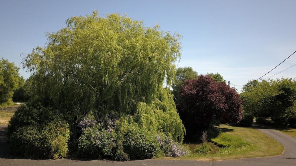 Cretingham Paddock Barn ~ Short & Long Term Stay, Pets Welcome ~ Woodbridge, Framlingham Ar מראה חיצוני תמונה