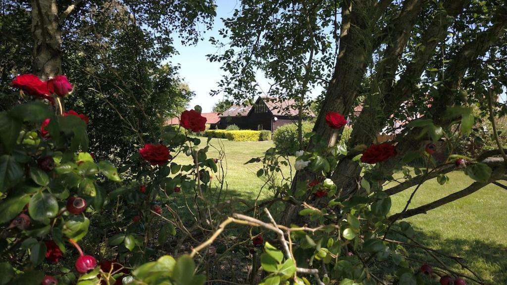 Cretingham Paddock Barn ~ Short & Long Term Stay, Pets Welcome ~ Woodbridge, Framlingham Ar מראה חיצוני תמונה
